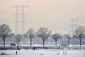 de moer 11-2010 2822